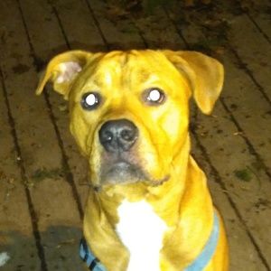 Meet your Posher, Kyle